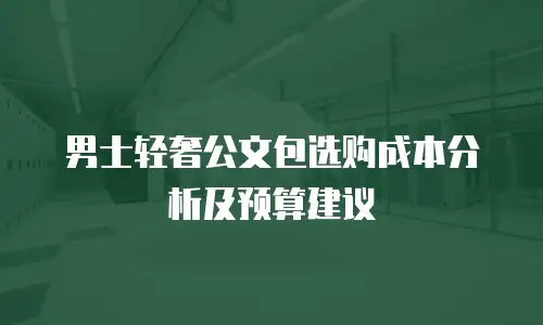 男士轻奢公文包选购成本分析及预算建议