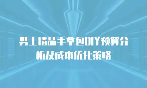 男士精品手拿包DIY预算分析及成本优化策略