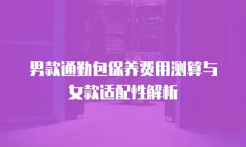男款通勤包保养费用测算与女款适配性解析