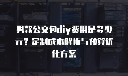 男款公文包diy费用是多少元？定制成本解析与预算优化方案