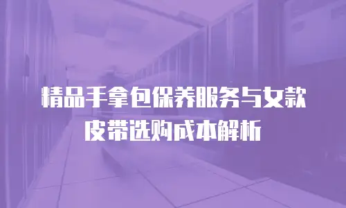 精品手拿包保养服务与女款皮带选购成本解析
