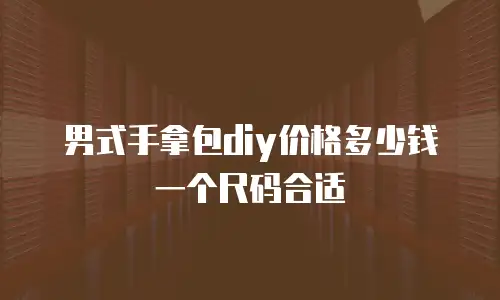 男式手拿包diy价格多少钱一个尺码合适