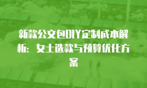 新款公文包DIY定制成本解析：女士选款与预算优化方案