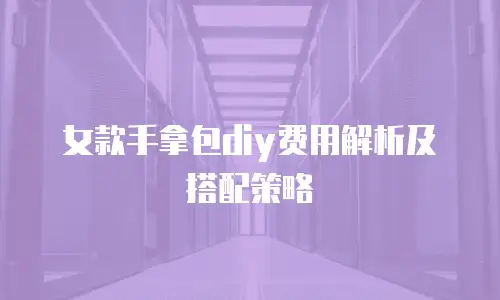 女款手拿包diy费用解析及搭配策略