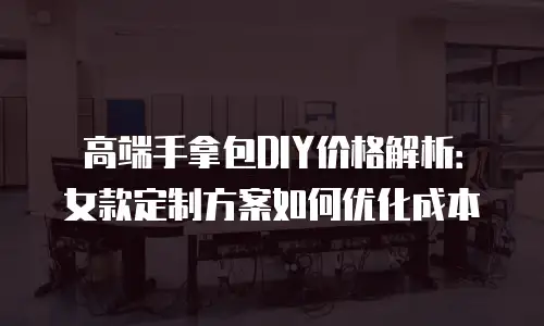 高端手拿包DIY价格解析：女款定制方案如何优化成本