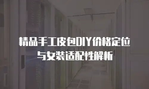精品手工皮包DIY价格定位与女装适配性解析