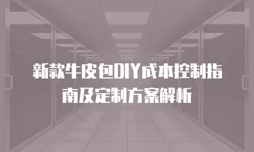 新款牛皮包DIY成本控制指南及定制方案解析