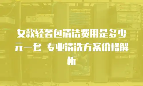 女款轻奢包清洁费用是多少元一套 专业清洗方案价格解析