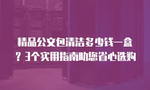 精品公文包清洁多少钱一盒？3个实用指南助您省心选购