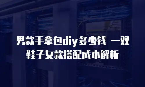男款手拿包diy多少钱 一双鞋子女款搭配成本解析