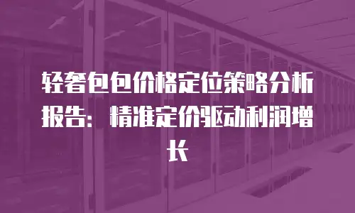 轻奢包包价格定位策略分析报告：精准定价驱动利润增长