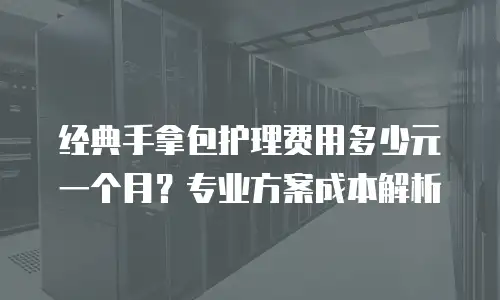 经典手拿包护理费用多少元一个月？专业方案成本解析