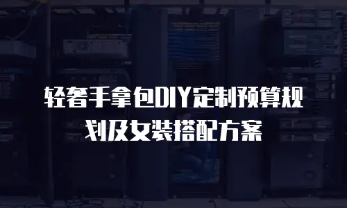 轻奢手拿包DIY定制预算规划及女装搭配方案