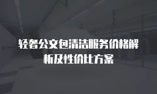 轻奢公文包清洁服务价格解析及性价比方案