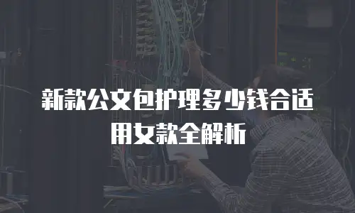 新款公文包护理多少钱合适用女款全解析