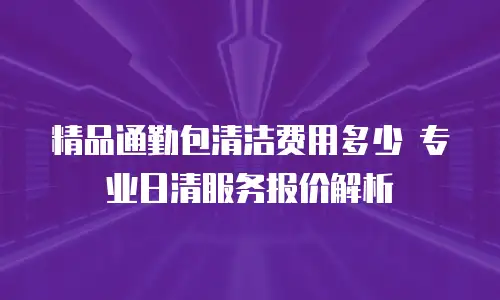 精品通勤包清洁费用多少 专业日清服务报价解析