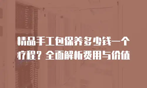 精品手工包保养多少钱一个疗程？全面解析费用与价值
