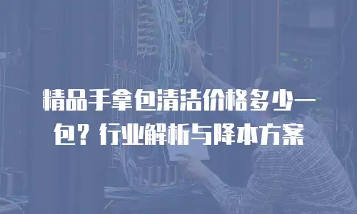 精品手拿包清洁价格多少一包？行业解析与降本方案