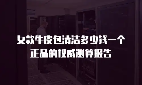 女款牛皮包清洁多少钱一个正品的权威测算报告