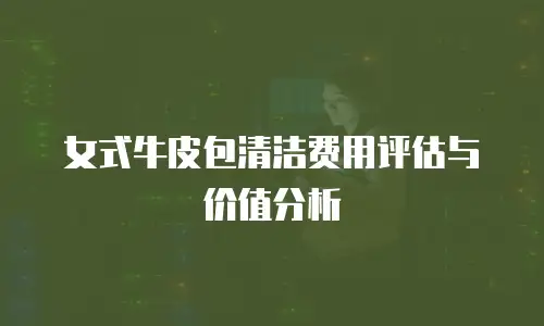 女式牛皮包清洁费用评估与价值分析