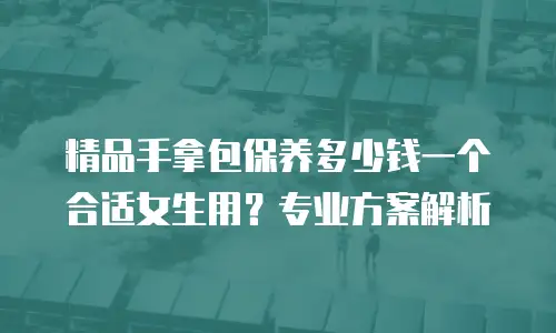 精品手拿包保养多少钱一个合适女生用？专业方案解析