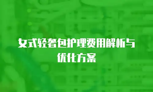 女式轻奢包护理费用解析与优化方案