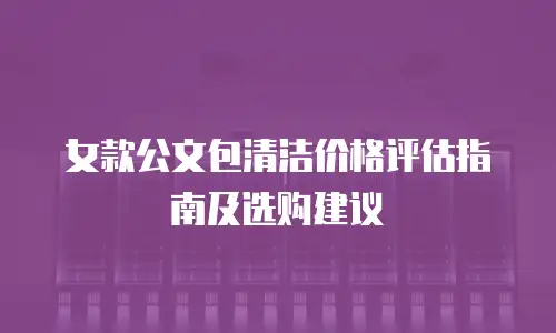 女款公文包清洁价格评估指南及选购建议