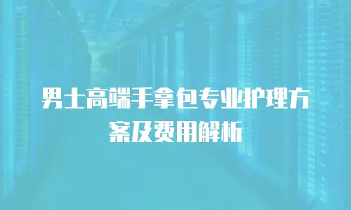 男士高端手拿包专业护理方案及费用解析