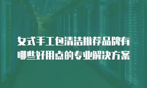 女式手工包清洁推荐品牌有哪些好用点的专业解决方案
