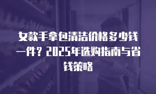 女款手拿包清洁价格多少钱一件？2025年选购指南与省钱策略