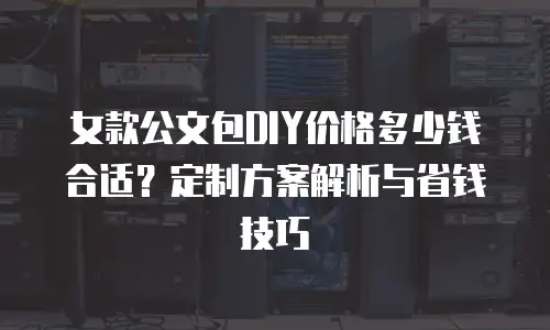 女款公文包DIY价格多少钱合适？定制方案解析与省钱技巧