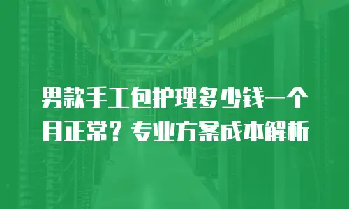 男款手工包护理多少钱一个月正常？专业方案成本解析