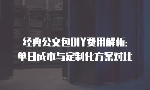 经典公文包DIY费用解析：单日成本与定制化方案对比