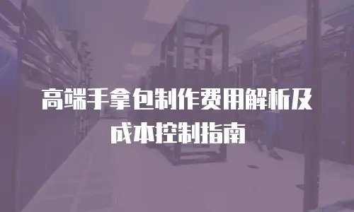 高端手拿包制作费用解析及成本控制指南