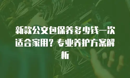 新款公文包保养多少钱一次适合家用？专业养护方案解析