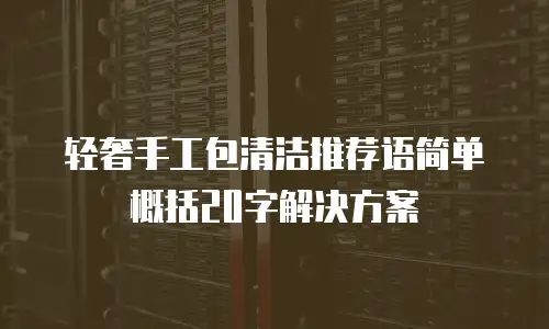 轻奢手工包清洁推荐语简单概括20字解决方案