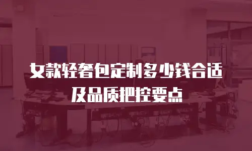 女款轻奢包定制多少钱合适及品质把控要点