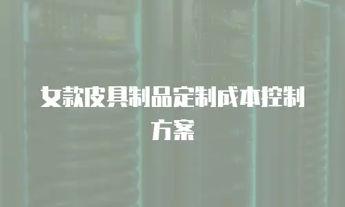 女款皮具制品定制成本控制方案