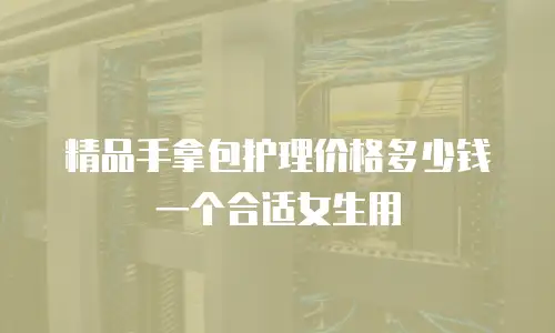 精品手拿包护理价格多少钱一个合适女生用