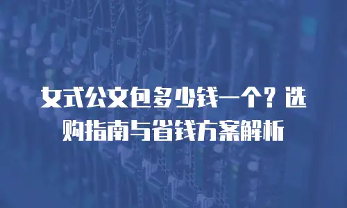 女式公文包多少钱一个？选购指南与省钱方案解析