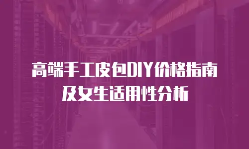 高端手工皮包DIY价格指南及女生适用性分析