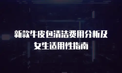 新款牛皮包清洁费用分析及女生适用性指南