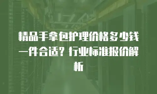 精品手拿包护理价格多少钱一件合适？行业标准报价解析