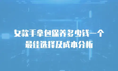 女款手拿包保养多少钱一个 最佳选择及成本分析