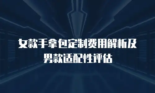 女款手拿包定制费用解析及男款适配性评估