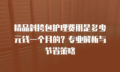 精品斜挎包护理费用是多少元钱一个月的？专业解析与节省策略