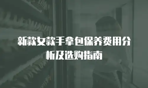 新款女款手拿包保养费用分析及选购指南