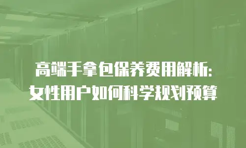 高端手拿包保养费用解析：女性用户如何科学规划预算