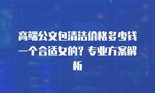 高端公文包清洁价格多少钱一个合适女的？专业方案解析