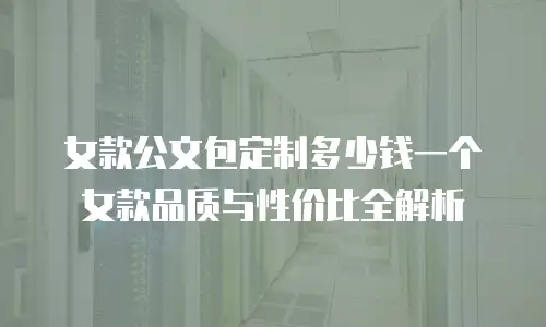 女款公文包定制多少钱一个 女款品质与性价比全解析